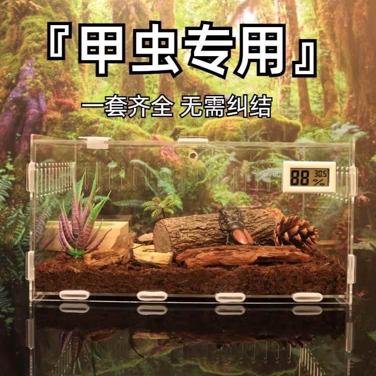 爬宠亚克力透明饲养盒独角仙套餐锹甲虫箱大
