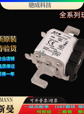 巴斯曼170M3329 170M3358 170M3359 大量现货厂价销售 特种保险丝