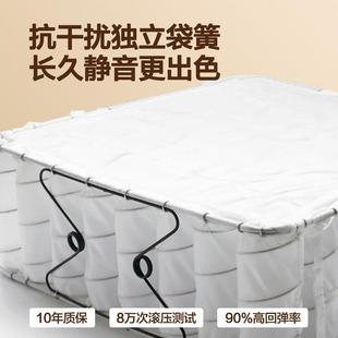 五星级酒店床垫席梦思天乳2023 椰棕弹簧偏硬护腰然脊家用卧胶