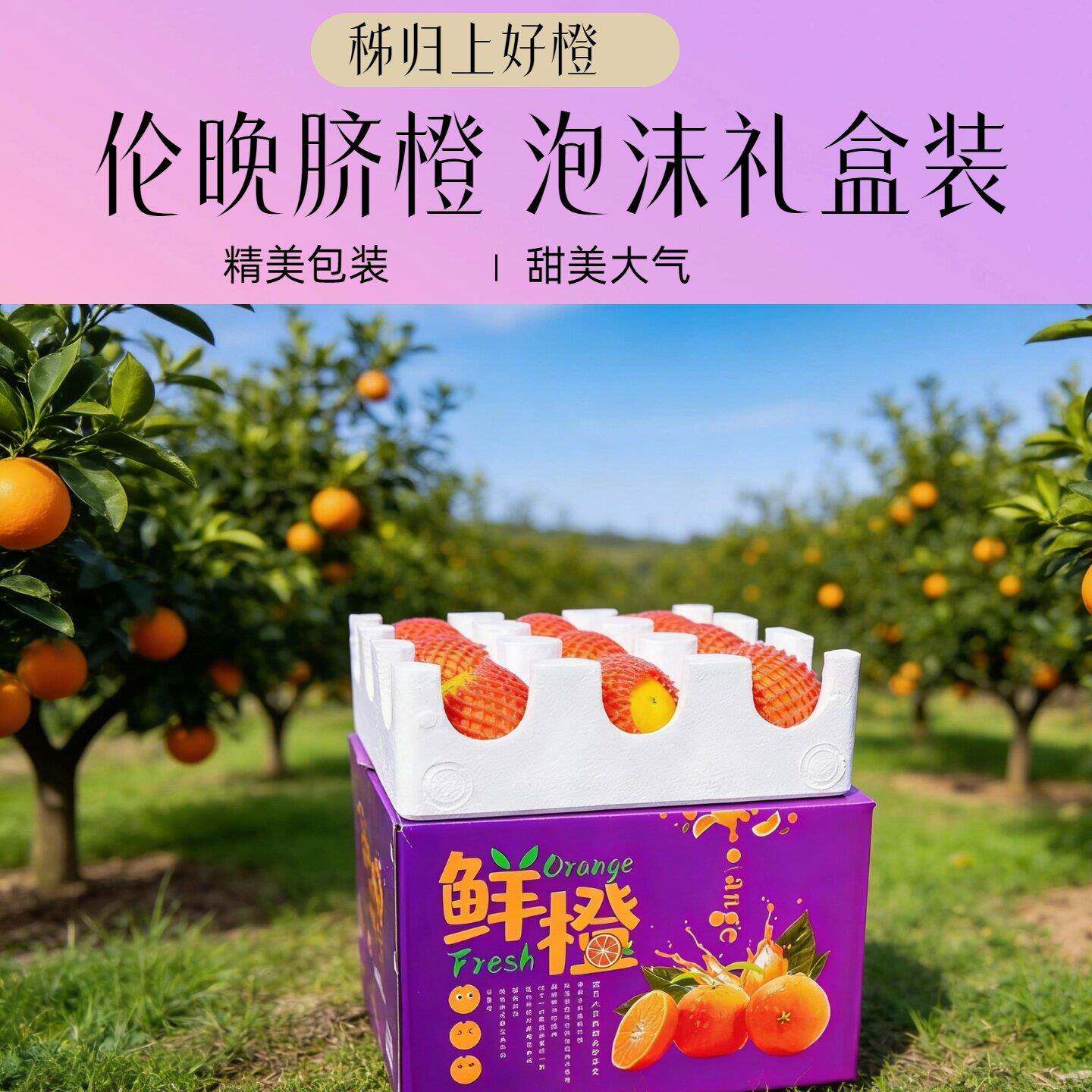 （伦晚脐橙礼盒泡沫箱）秭归伦晚橙子秭归脐橙甜湖北三峡应季水果