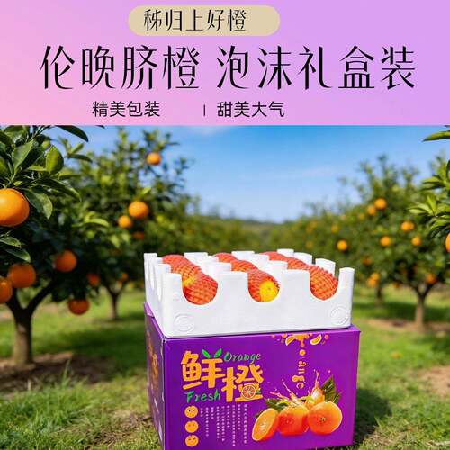 （伦晚脐橙礼盒泡沫箱）秭归伦晚橙子秭归脐橙甜湖北三峡应季水果