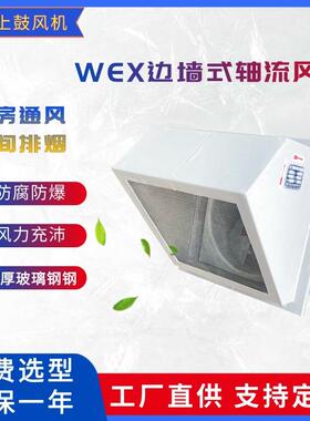WEXD/SEF防腐低噪声壁式轴流风机边墙排风机可配60°90°弯管