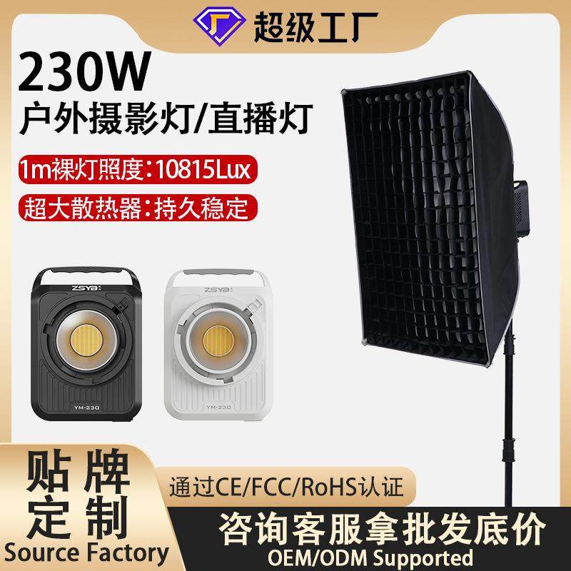 330W直播间补光灯摄影专业户外美颜柔光灯直播灯直播专用灯光