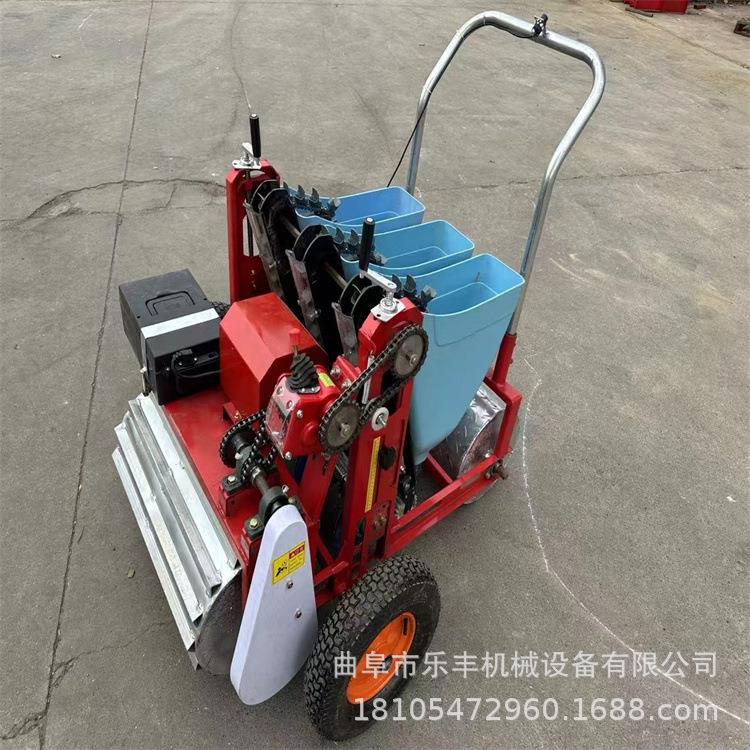 家用手推电动种植机 多种型号大蒜播种机 小型种蒜机