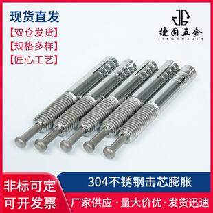 304不锈钢机芯膨胀螺丝M6M8M10M12M16举升机击心膨胀螺栓一钉得钉