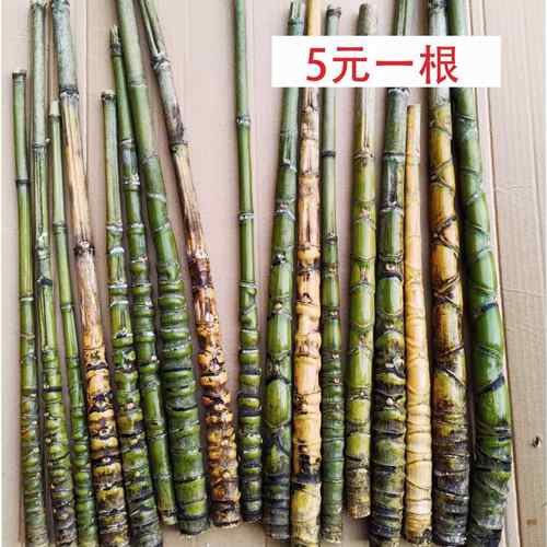 龟甲竹罗汉竹鱼竿把件烟斗竹子料拐杖手杖毛料茶则手工艺品文玩