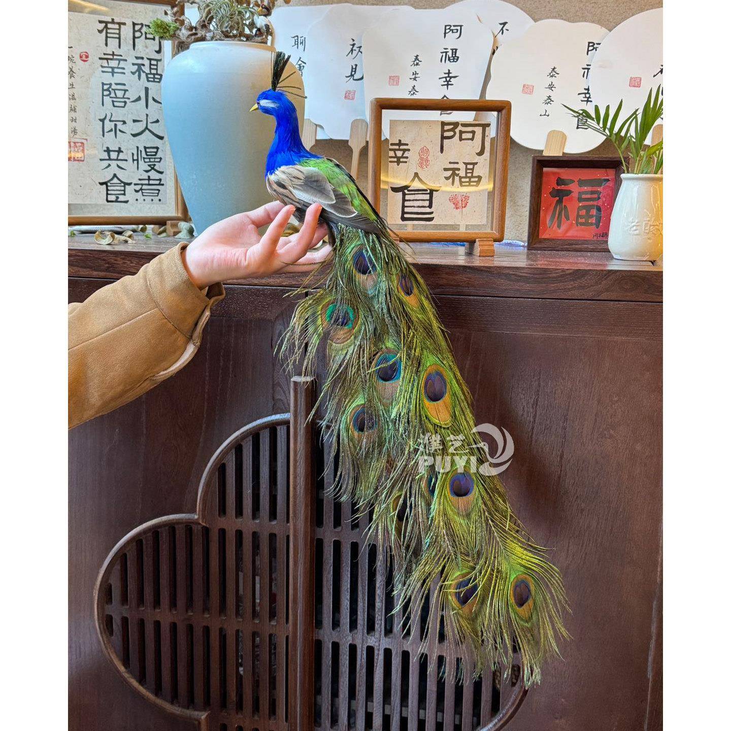 【仿真小孔雀】仿真蓝孔雀动物摆件家居装饰鸟类标本模型真羽毛