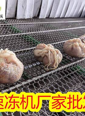 旺源隧道式速冻机 果蔬IQF体速冻机 萝卜冷冻加工生产设备