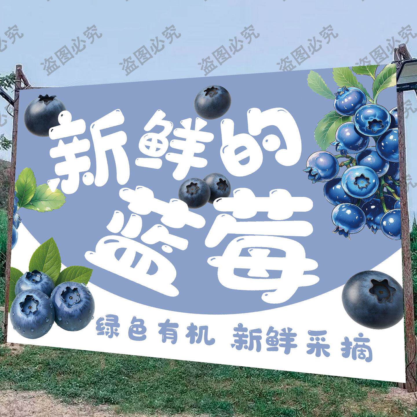 卡通蓝莓方布采摘地田园装饰布装饰拍照打卡网红背景布新鲜100%