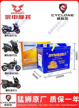 赛科龙RX1 RX1S RA2 RT2 RX4 RZ3S RG3 RE3 RT3 RC401 RX500电瓶