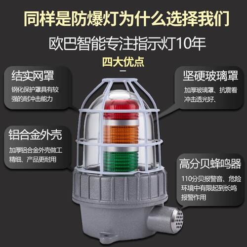 防爆声光报警器警示灯BBJ-gR BBJ-gB BBJ-zY BBJ-zG AC220 IP66