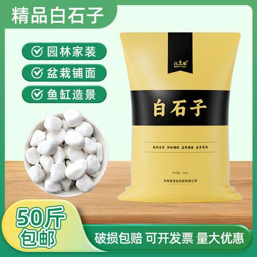 白石子植物花盆铺面石鱼缸水池造景底砂园艺通用白色鹅卵石白砾石