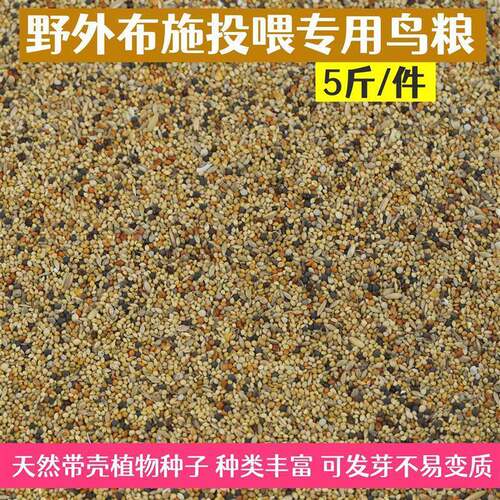 野外投喂专用带壳粮小型鸟粮野外鸟食布施麻雀斑鸠鸟粮天然鸟粮