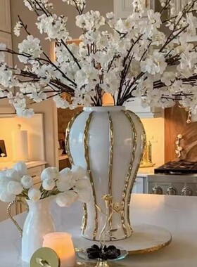 陶瓷轻奢电镀将军罐欧式花插花瓶工艺品摆件玄关软装装饰储物罐