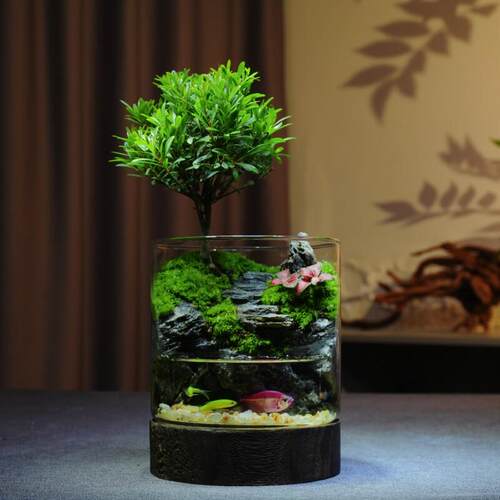 原创苔藓微景观生态瓶室内桌面植物绿植盆栽懒人养护生态缸养鱼蟹
