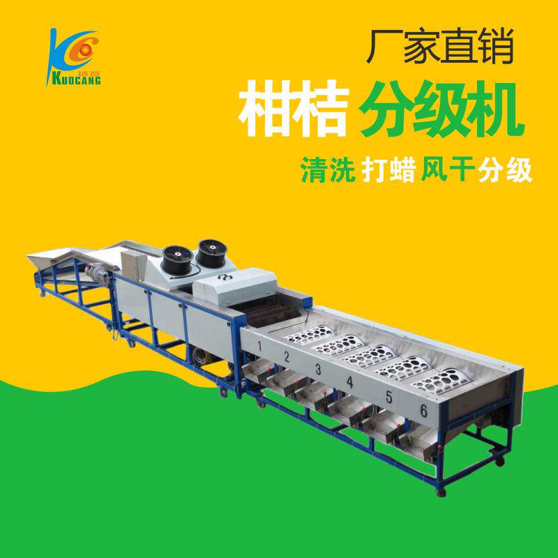 柑桔分级机 水果打蜡清洗 厂家直销 水果分选机