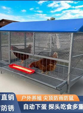尖顶养殖家用鸡鸭兔笼鸭笼自动收蛋防黄鼠狼加密加厚防鼠鸡笼户外