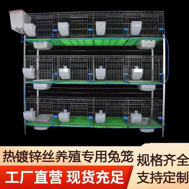 兔笼家用特大号养兔子的笼子窝新型自动清粪养殖场专用兔子笼子