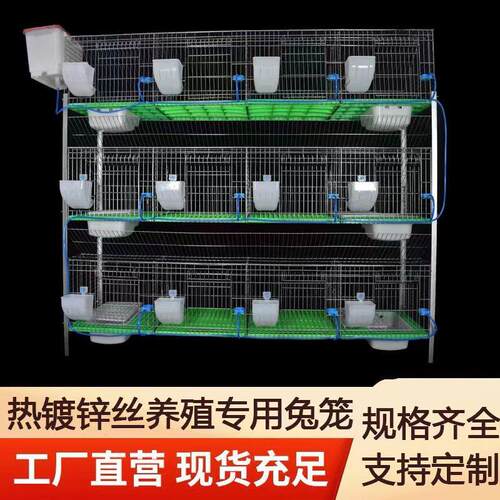 兔笼家用特大号养兔子的笼子窝新型自动清粪养殖场专用兔子笼子