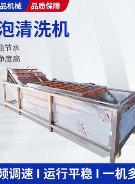 果蔬气泡清洗流线预制菜加工清洗机休闲食品蔬菜设备水果食品级