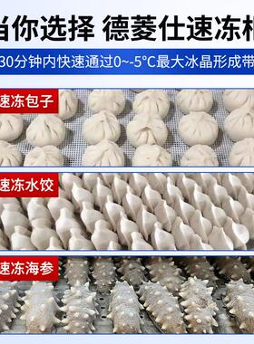 速冻柜商用急584冻包海零下4度低温冷冻冰5柜急冻冷柜鲜子水饺速