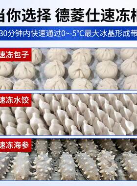 速冻商用急冻零下水50545度低温冷冻冰柜急冻柜海鲜包子柜饺冷速