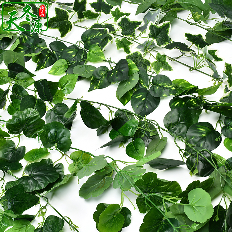绿植藤条爬山虎藤蔓常青藤植物绿萝叶子假绿植吊顶装饰仿真叶