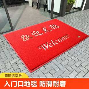 进门地垫入户门门口丝圈地毯脚垫欢迎光临出入平安门垫家用卫生间