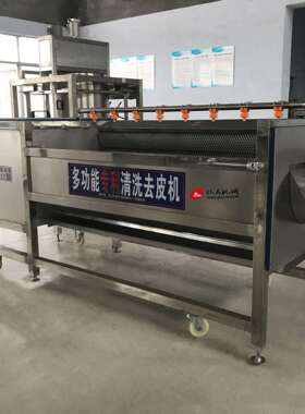 海蛎子毛辊清洗机高压喷淋式毛辊机厂家红薯深加工清洗设备厂家