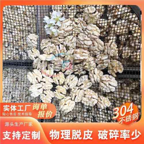 供盐应全自动核桃洗仁去CUE皮设备 坚果仁加工设备 椒核桃仁清去