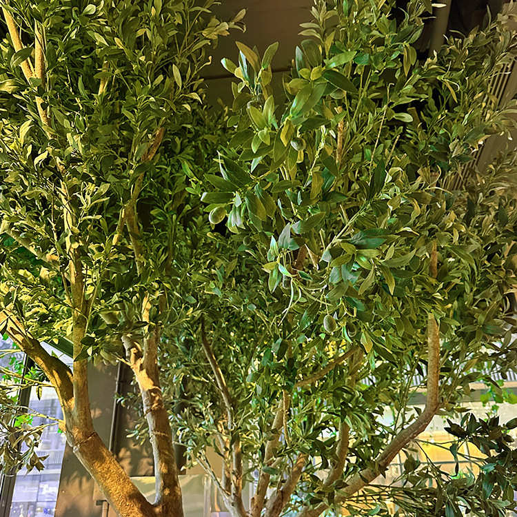大型仿真绿植仿真橄榄树酒店橱窗软装造景装饰玻璃钢仿真橄榄树