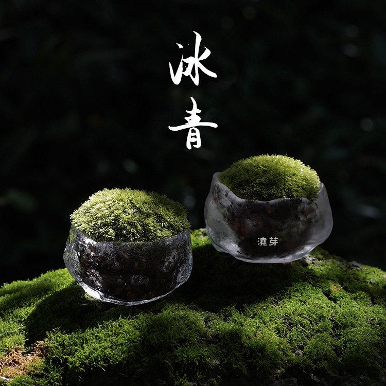 茶室案头桌面小景苔藓趣味盆栽办公室摆件书房高级质感
