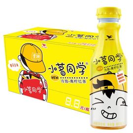 统一饮料小茗同学，青柠红茶480ml*15瓶整箱北京