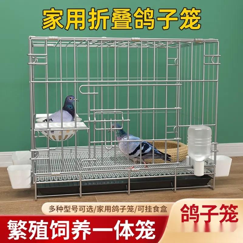鸽子笼子家用养鸽专用笼折叠鸽笼鸽舍鸽子窝可配对大号繁殖鸽子笼