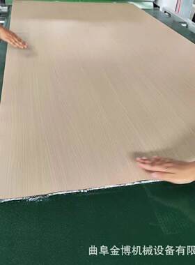 蜂铝窝覆膜机 PET膜PVC膜复合 全自动P1320U胶R热熔平板贴机