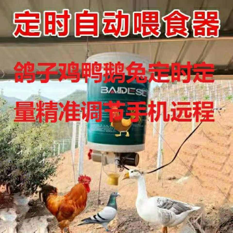鸽子用品用具自动喂食器信鸽食槽定时鸡鸭鹅兔自动喂食机喂鸡