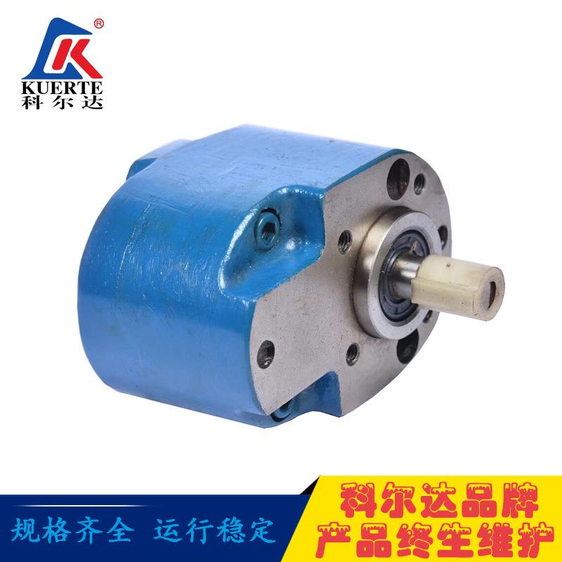 齿轮泵厂家供应齿轮式液压油泵液压系统用油泵小型低压齿轮泵