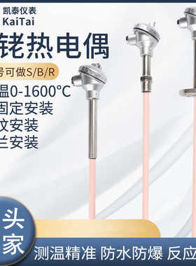 型高温型铂护套130炉耐高温-铑热电偶铂bs丝铑刚玉高温wrp热电偶