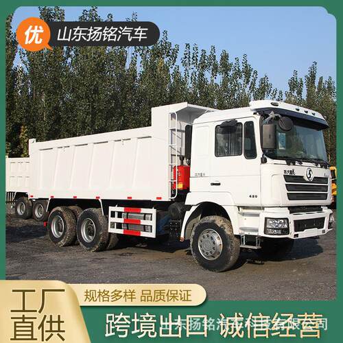跨境供应陕汽德龙F3000后翻自卸车后八轮工程渣土运输车工程货车