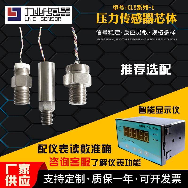 销售压力液位检测传感器CLY系列-1压力传感器芯体压力传感器