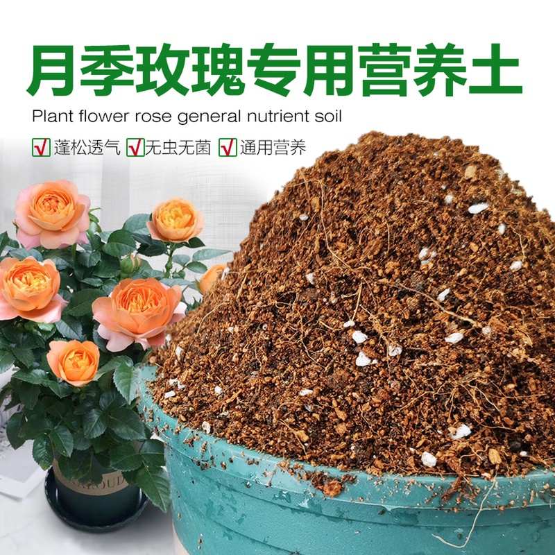 玫瑰月季花专用土种植营养土壤盆栽藤本月季灌木果汁阳台养花盆栽