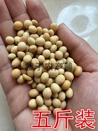 2023年新小粒黄豆5斤装农家自种非转基因黄豆打豆浆发豆芽