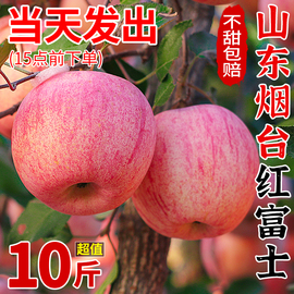 山东烟台红富士苹果10斤新鲜水果当季栖霞萍果整箱脆甜丑平果