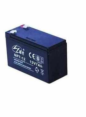 蓝肯蓄电池NP38-12 12V7AH12V38AH24AH100AH65AH17AH120AH200AH