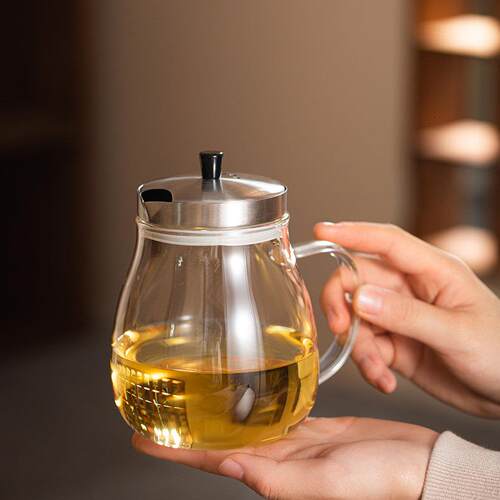 高硼硅耐高温玻璃茶壶水果茶壶功夫泡家用办公室茶具套组明火加热