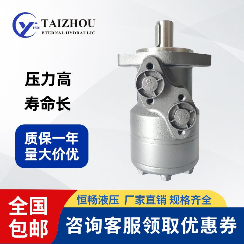 全系列替代White怀特大扭矩效率高起扬机摆线液压马达OMR 160/200