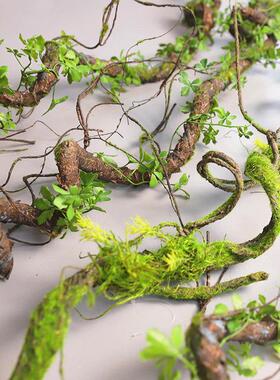 彷真苔藓树藤枯藤森系假叶藤条青苔大藤垂挂树枝婚庆造景装饰摆放