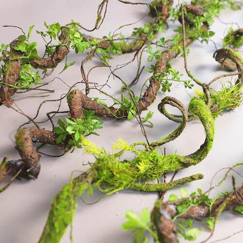 彷真苔藓树藤枯藤森系假叶藤条青苔大藤垂挂树枝婚庆造景装饰摆放