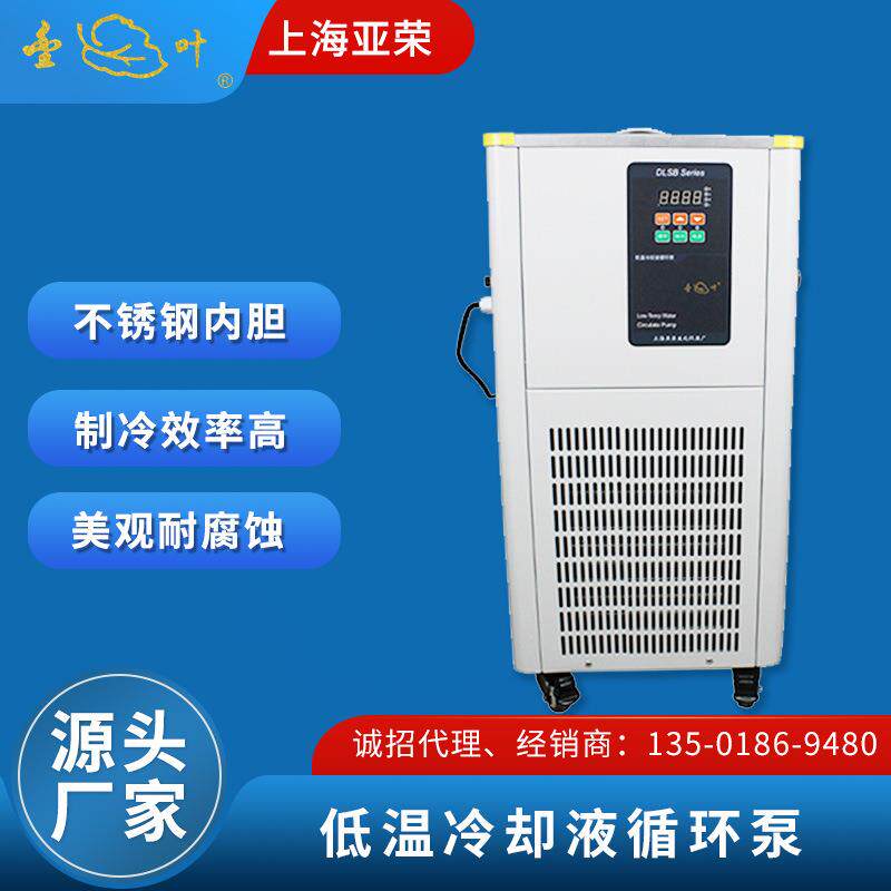 上海亚荣低温冷却液循环泵YRDLSB-6/20实验室低温泵冷水机金