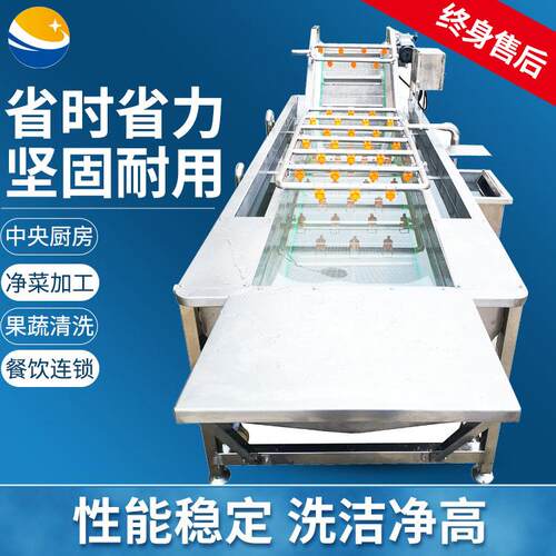大型全自动松茸清洗设备隧道气泡喷淋杀菌洗口蘑机器蘑菇清洗机